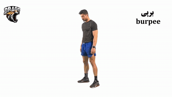 حرکت برپی (burpee)