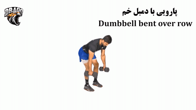 حرکت پارویی با دمبل خم