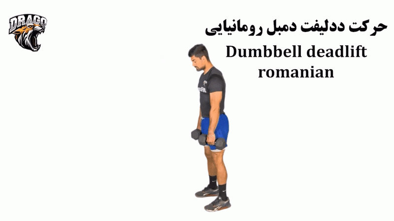 حرکت ددلیفت دمبل رومانیایی