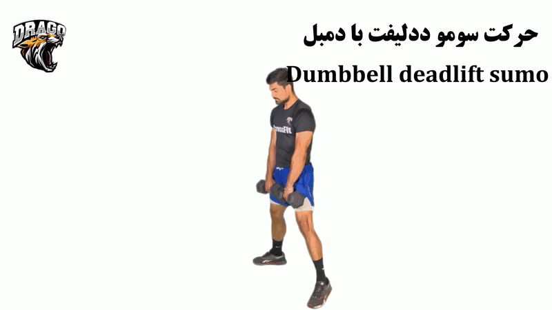 Dumbbell deadlift sumo workout