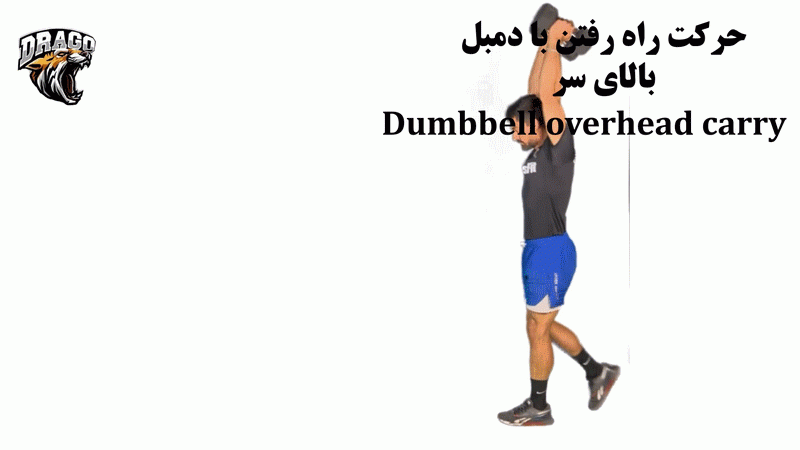 حرکت راه رفتن با دمبل بالای سر