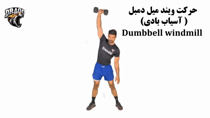 حرکت ویند میل دمبل