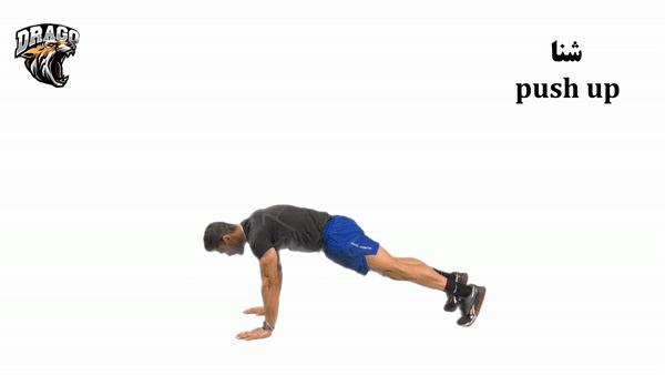حرکت پوش آپ (Push Up)